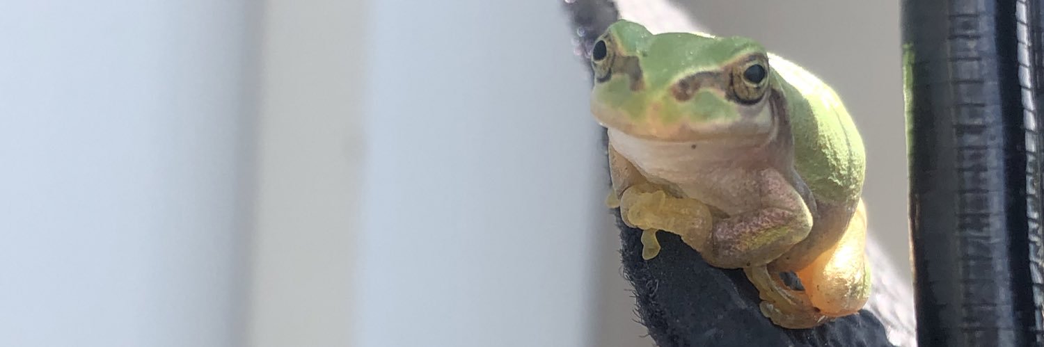 ApeWagon's profile banner image