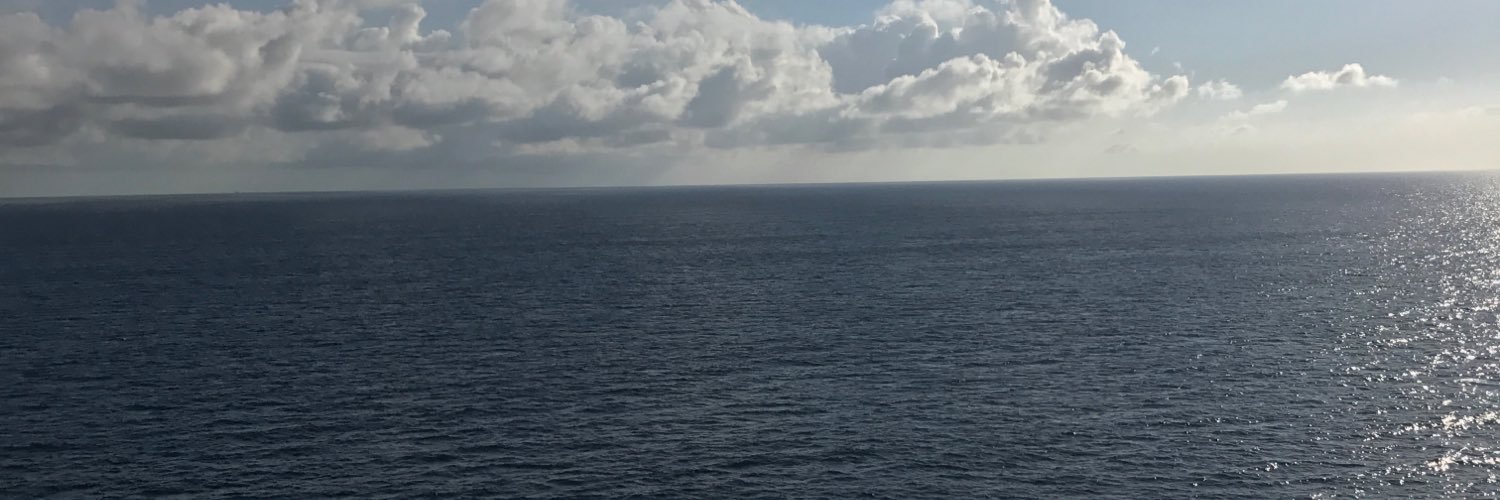 stevincrane's profile banner image
