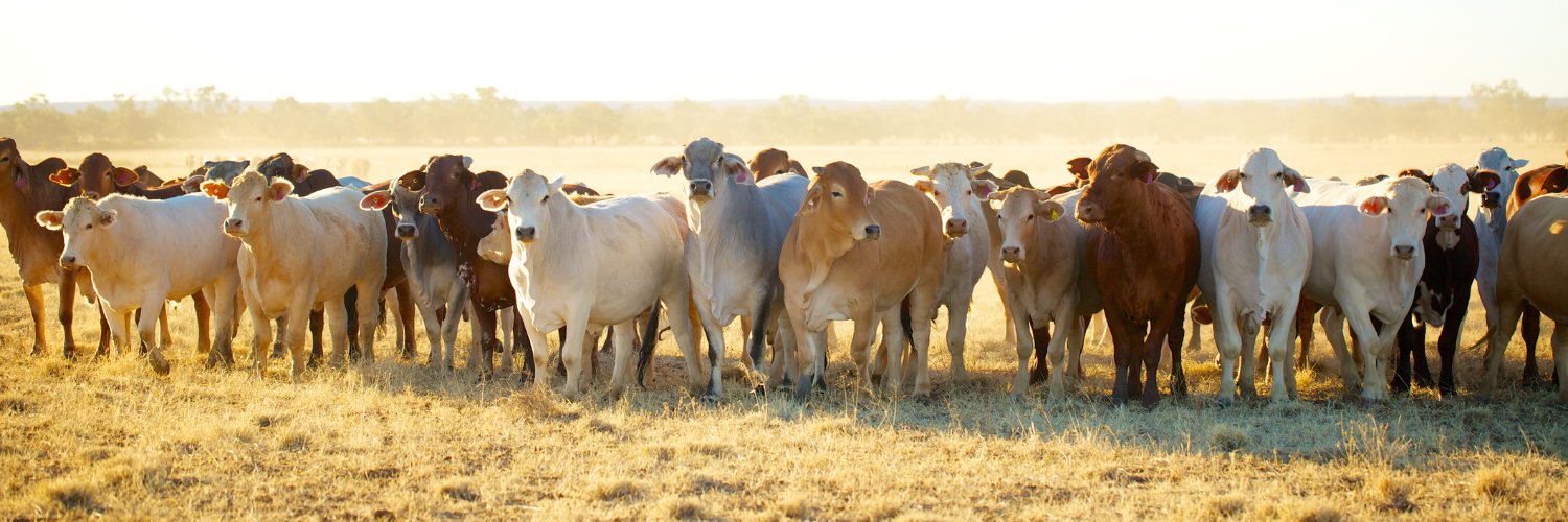 Stacey Wordsworth banner