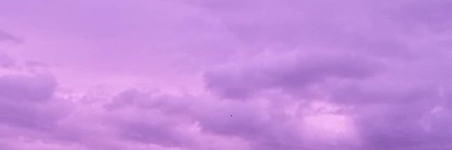 * ੈ✩‧˚ banner