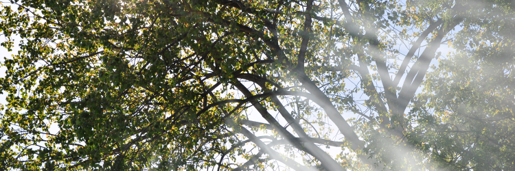 Geert de Graaf banner
