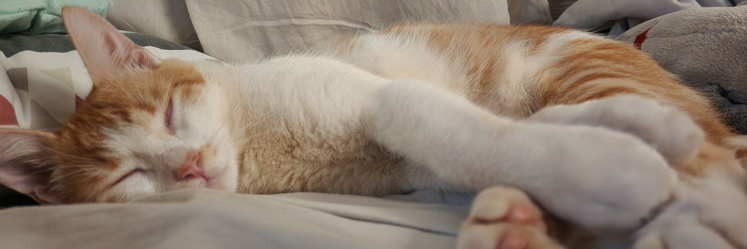 YamashLuis's profile banner image
