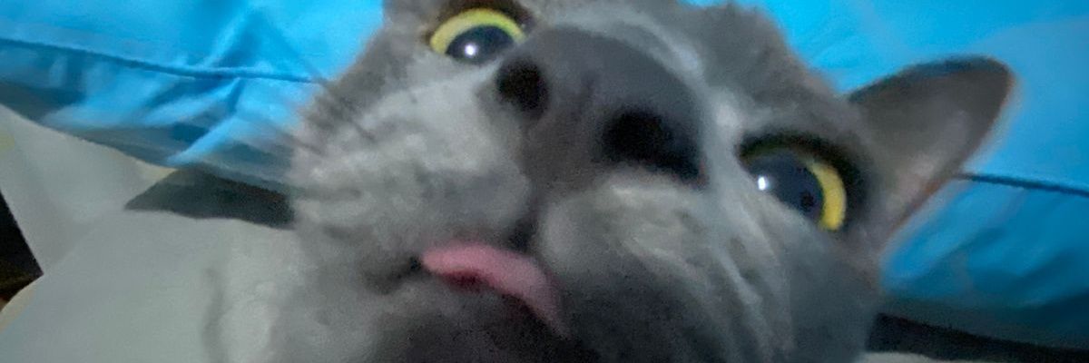 frstbyt_'s profile banner image
