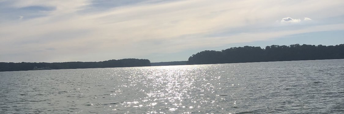 LeAnnCary's profile banner image