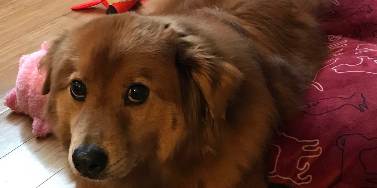 yoitsalan's profile banner image