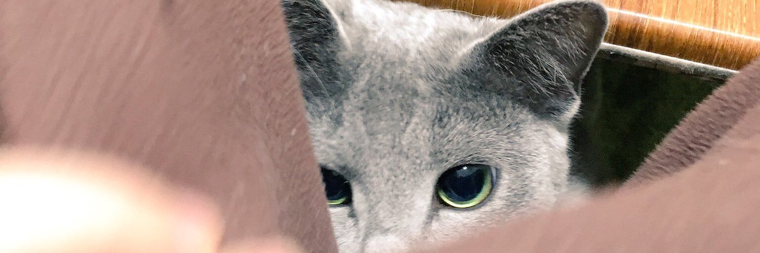 hnmrrr's profile banner image
