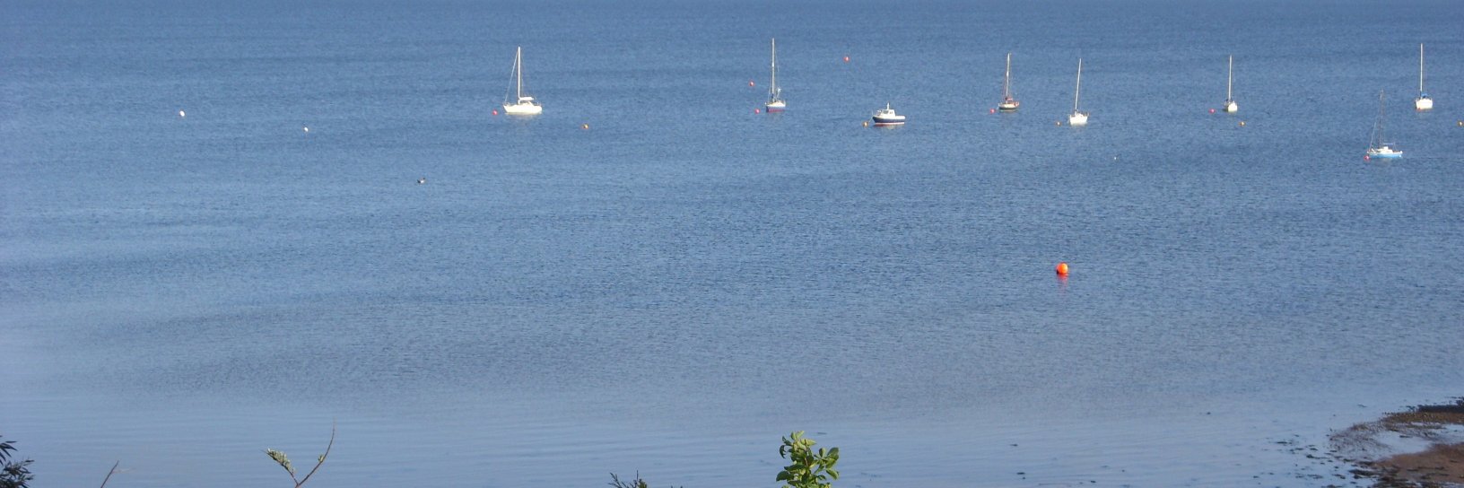 John Richmond banner