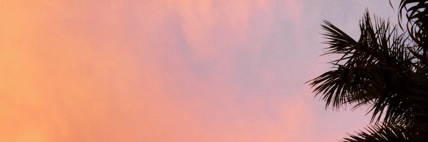 seeREDcorpus's profile banner image