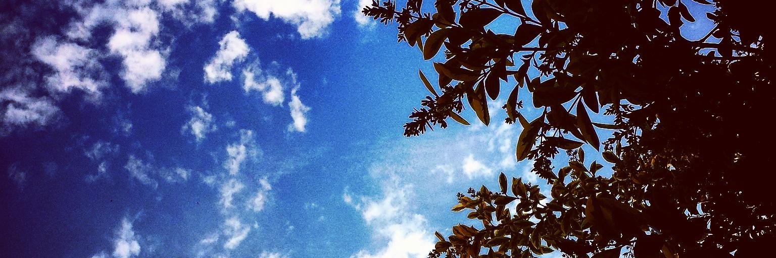 Christiaan Schriemer banner