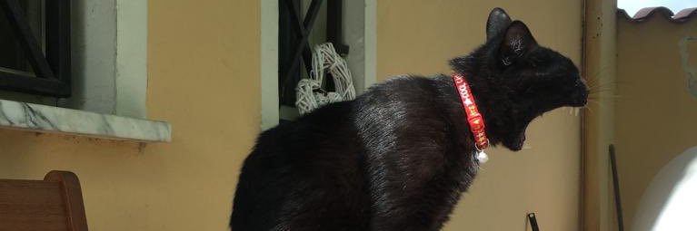IzzoNico's profile banner image