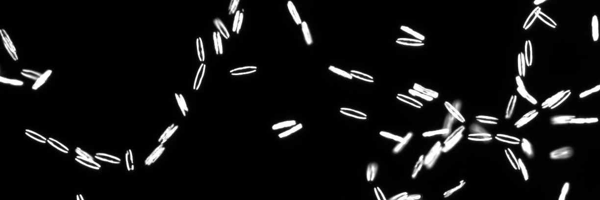 Kevin Mindiola-Reyes banner