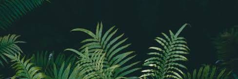 HarrySwitch's profile banner image