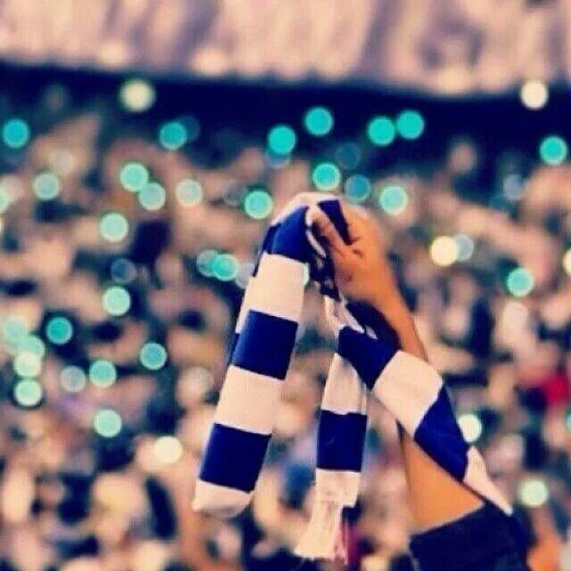 سلمان 🕊💛 banner