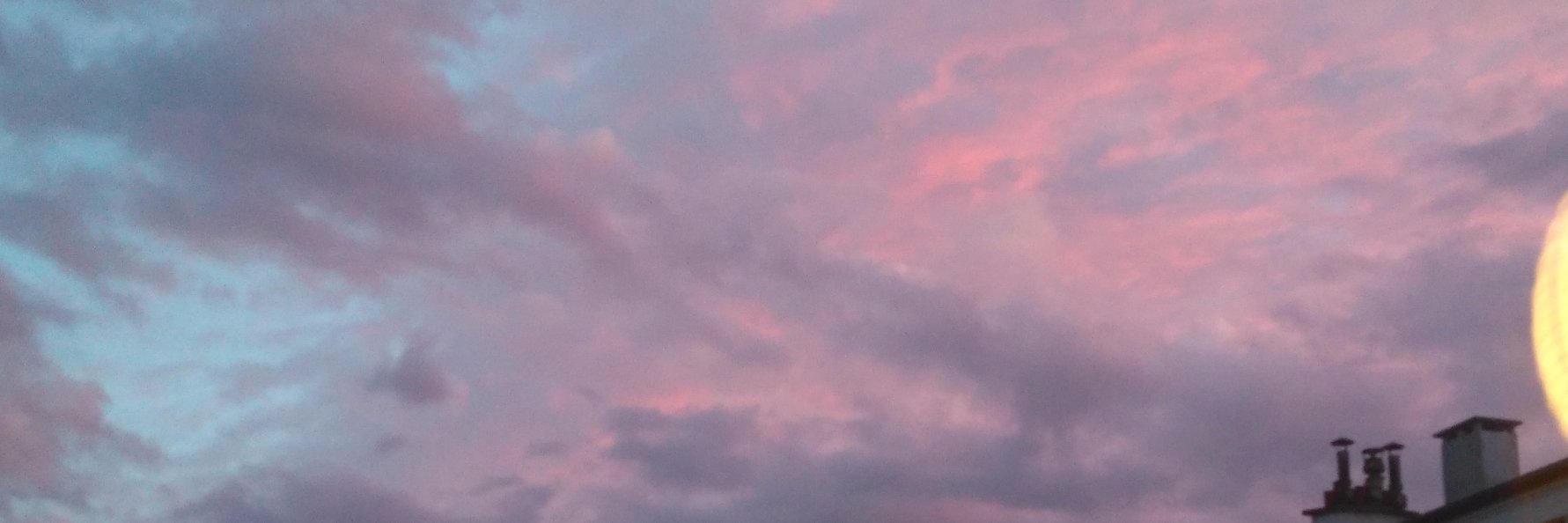 zizharry's profile banner image