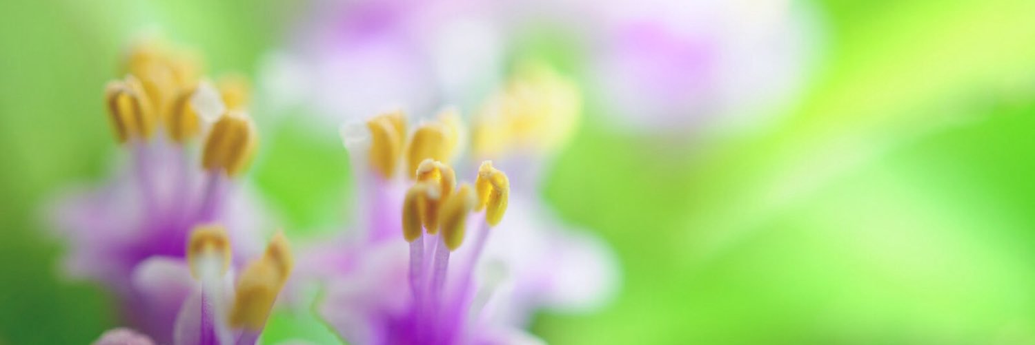Jnk_Chn's profile banner image