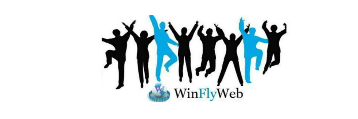 WinFlyWeb's profile banner image