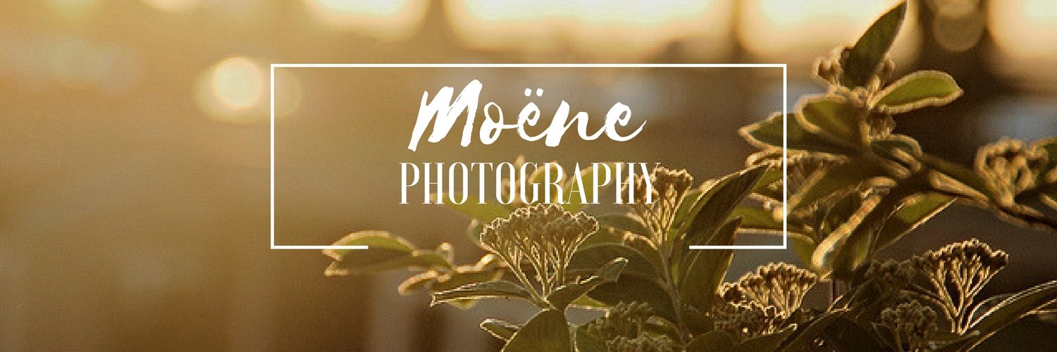 FabienMoene's profile banner image