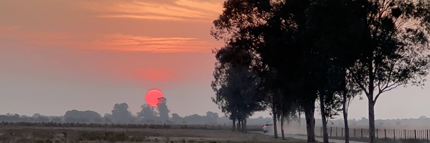 florciavila's profile banner image
