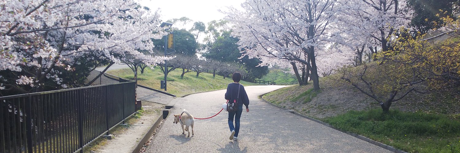 momonchi22's profile banner image