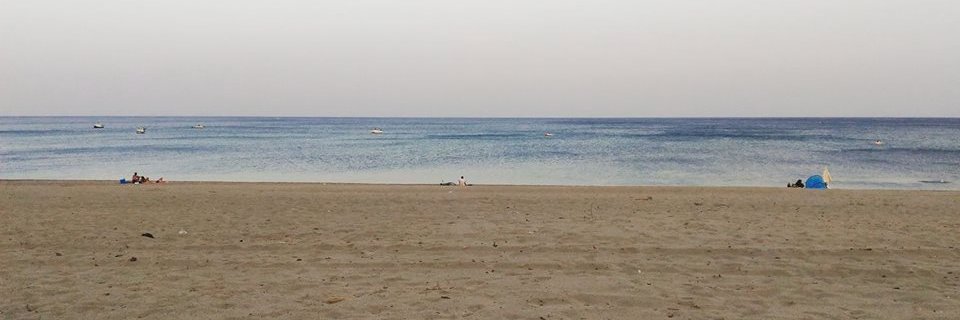 SamueleMollo's profile banner image