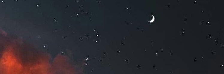 Veenicorn 🦄 banner