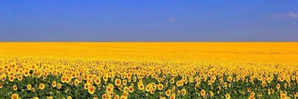 BobDeed Profile Banner