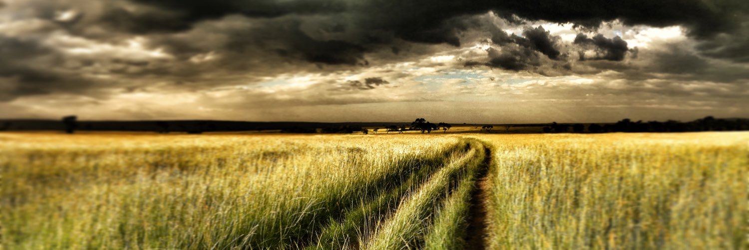 Alex Walker's Serian banner