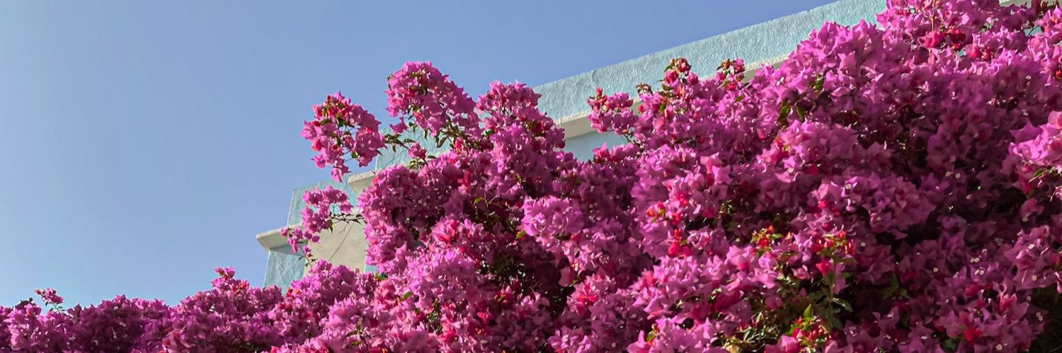 فوفا ᥫ᭡ banner