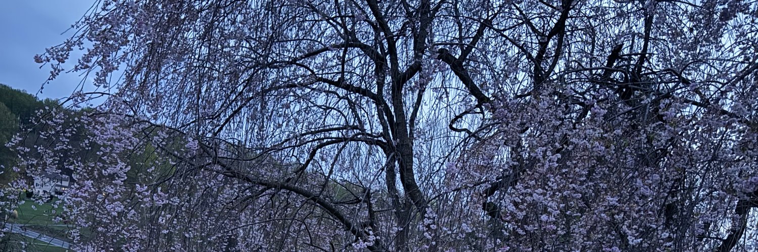 @willpost.bsky.social (occasionally lurking on X) banner