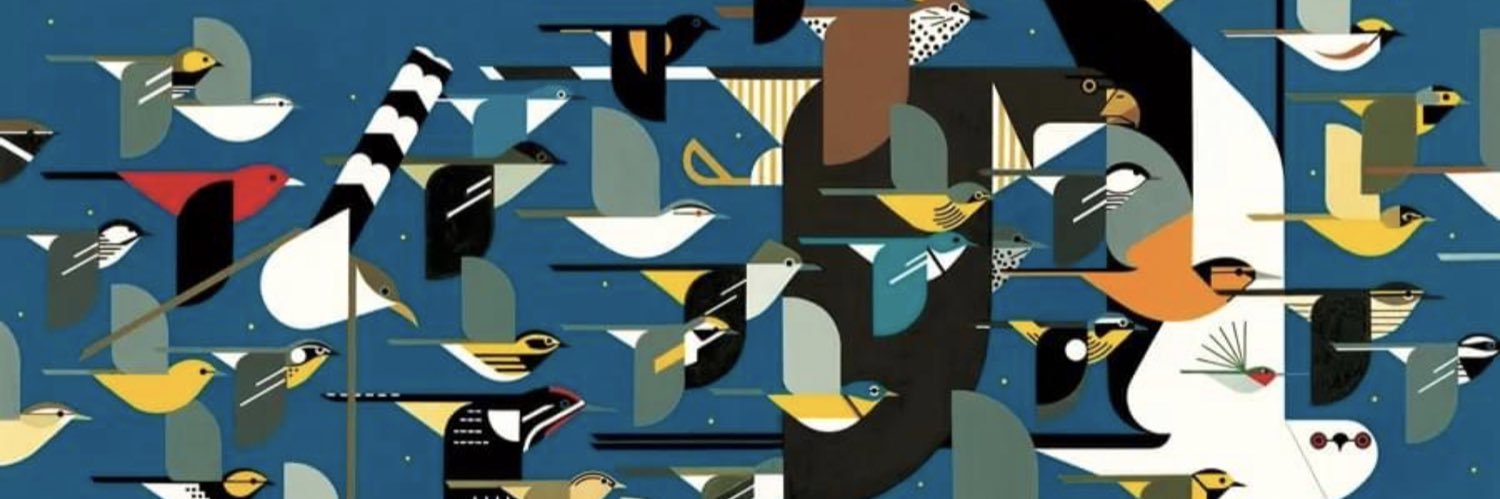 Christine Stanton banner