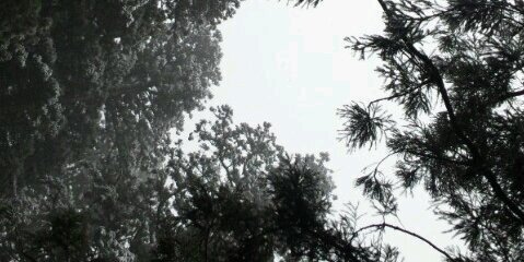 すきゃぷら banner