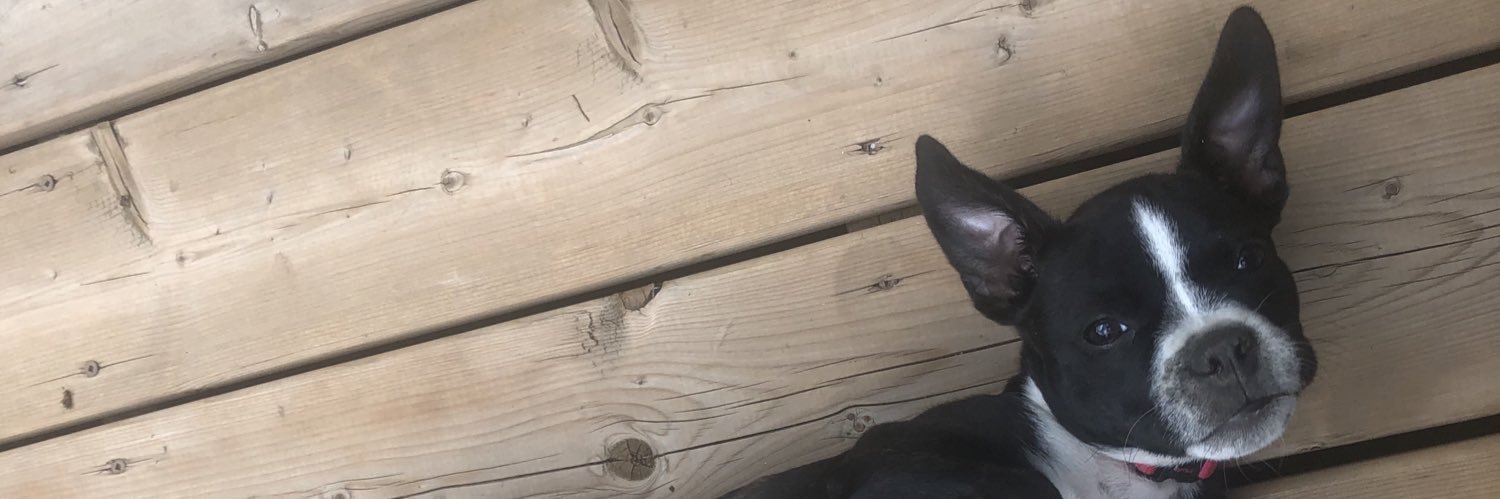 denimsmith's profile banner image