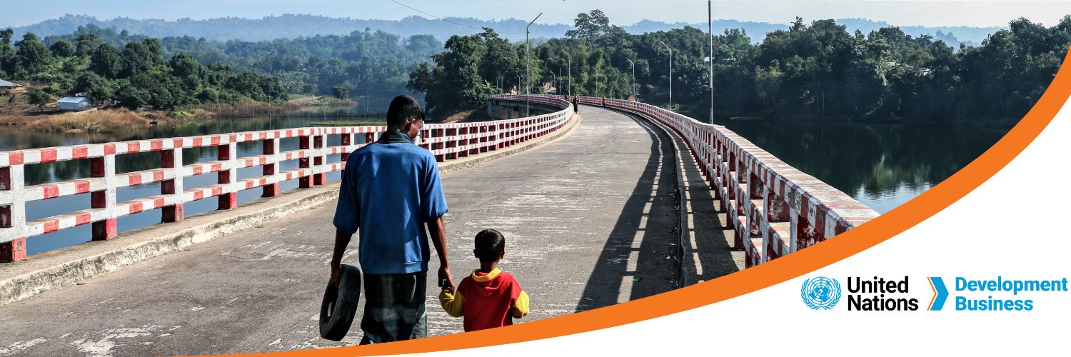 UN Development Business banner