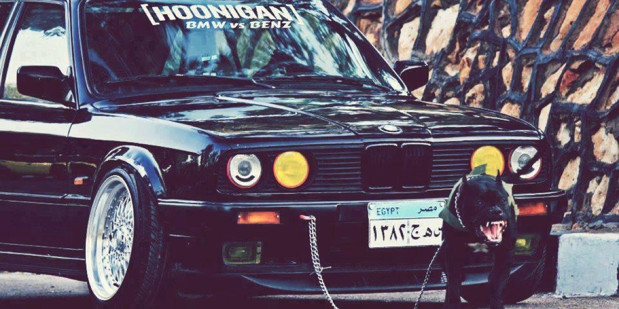 mstfnzz's profile banner image