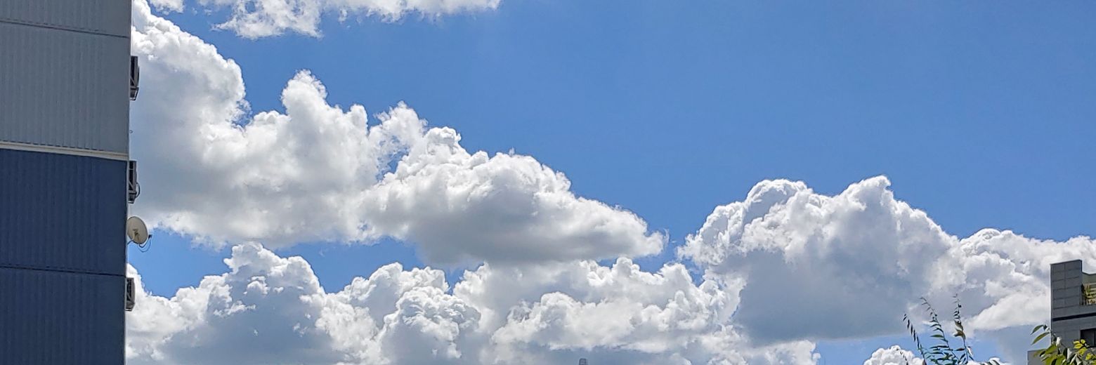 tree737174's profile banner image