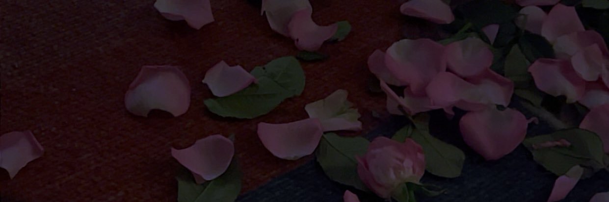 Tanajalavaee's profile banner image