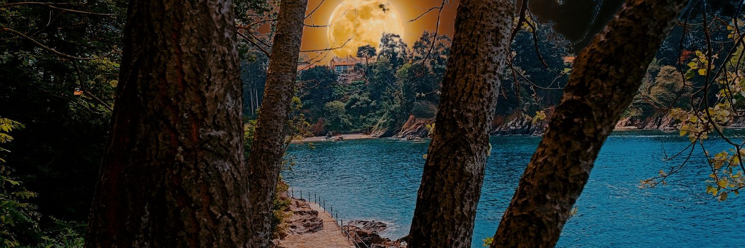 _SANDRAP's profile banner image