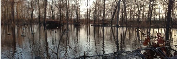 MacRichardATX Profile Banner