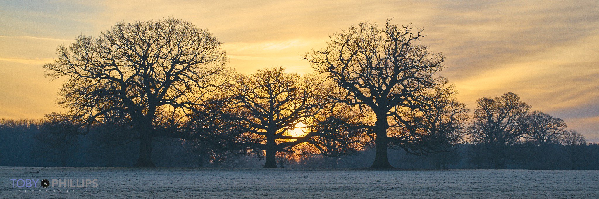 Toby Phillips Photography banner