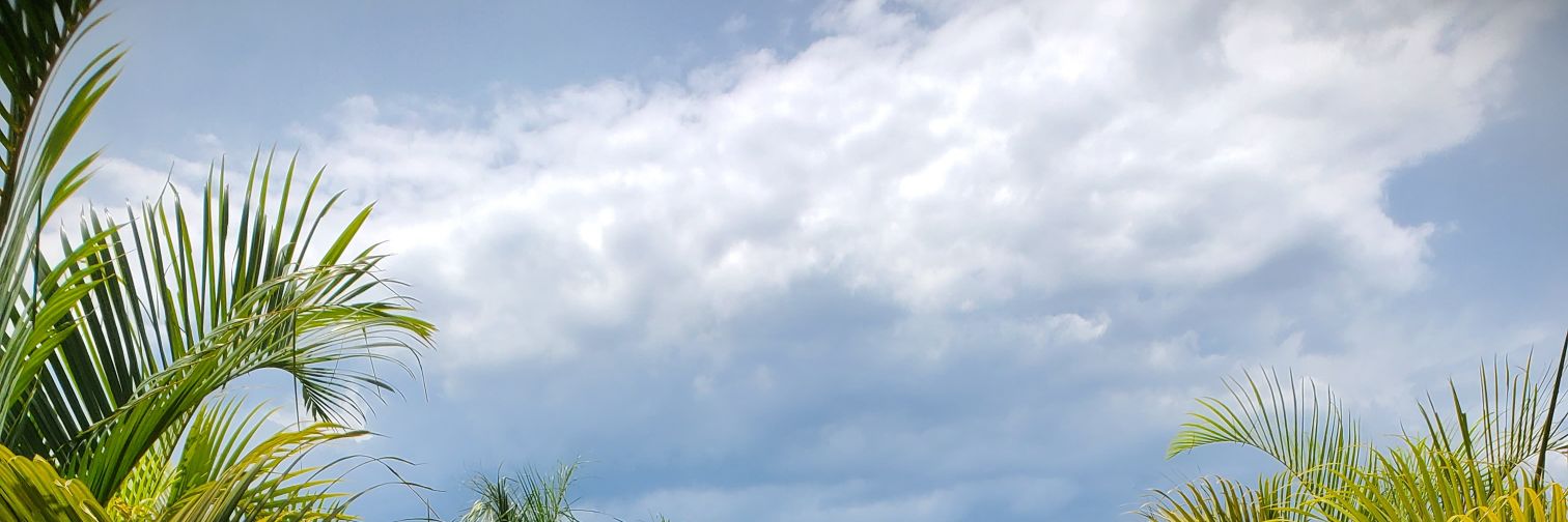 gilostiles's profile banner image