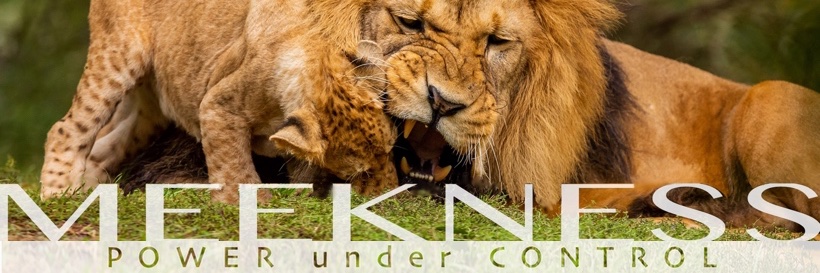atRenewNH's profile banner image
