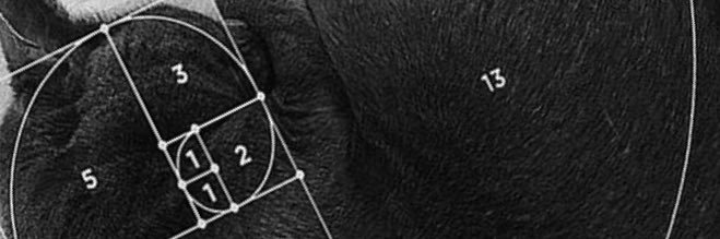 kikealba's profile banner image