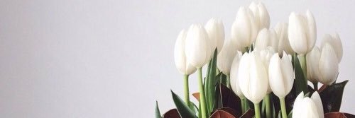 Samar_bogami's profile banner image