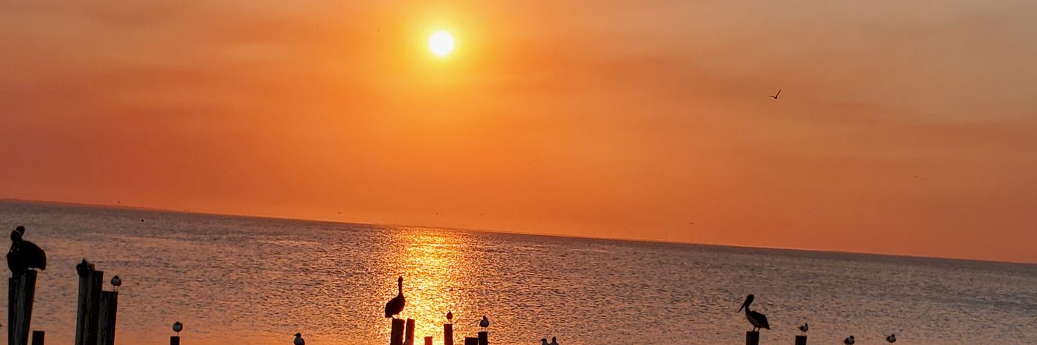plughto's profile banner image