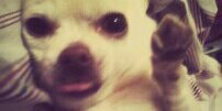 raina7964's profile banner image