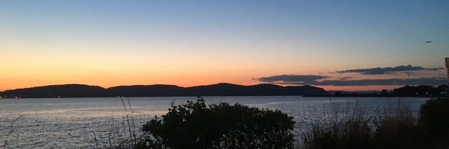 Francesca Zambelli banner