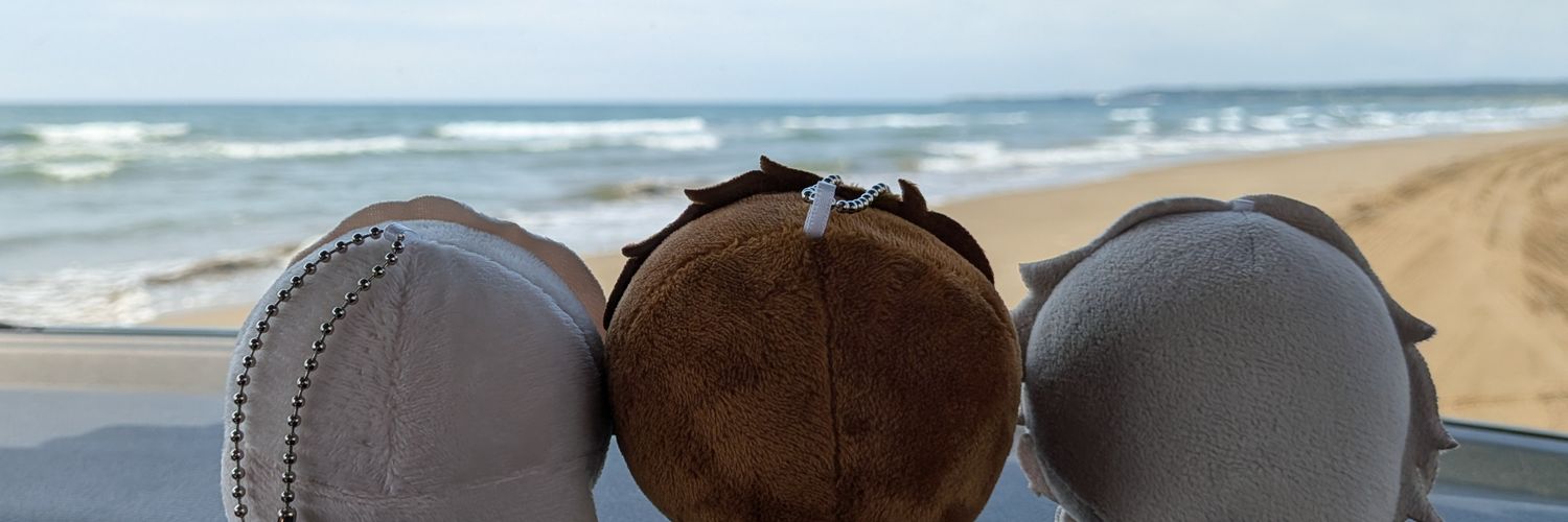 naeco_ss's profile banner image