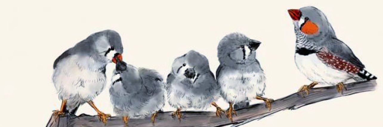 eng_jarwan's profile banner image