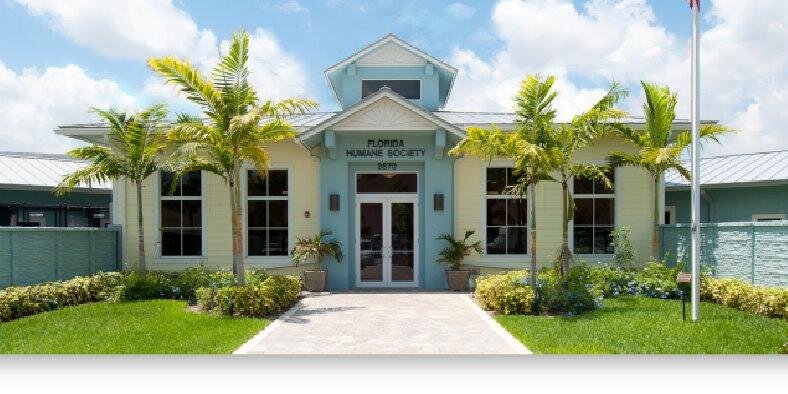 FLHumaneSociety's profile banner image