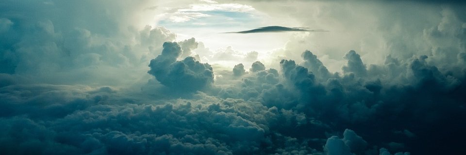 primal_charisma's profile banner image